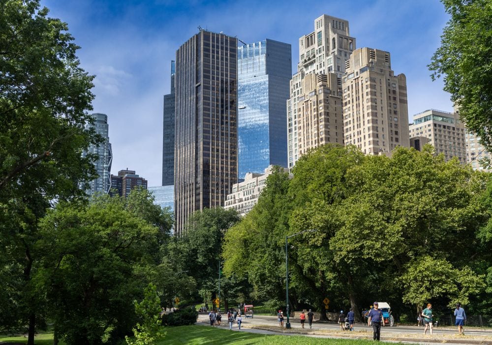 Central Park: three walks you cannot get lost on
